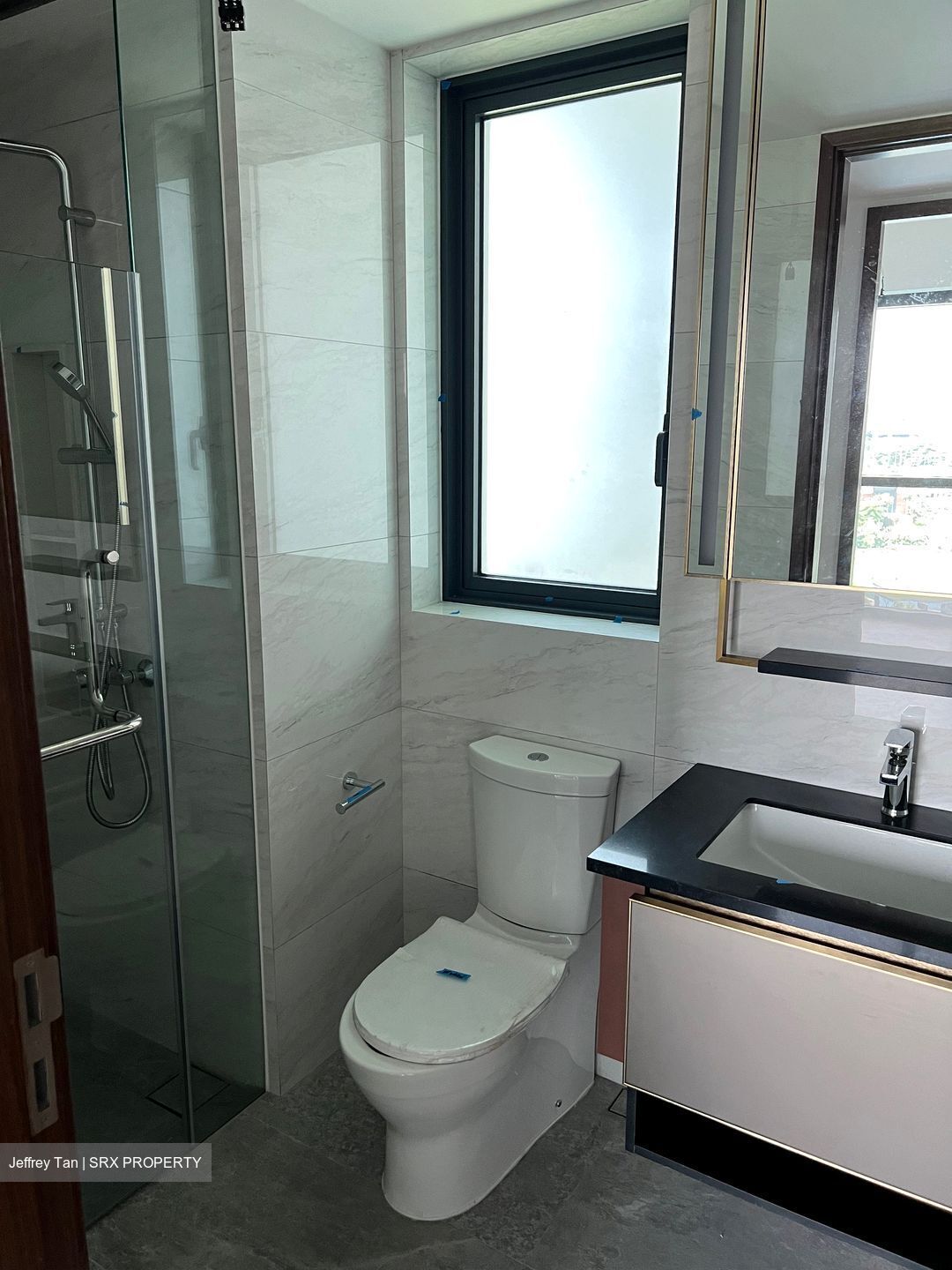 Normanton Park (D5), Apartment #448631891